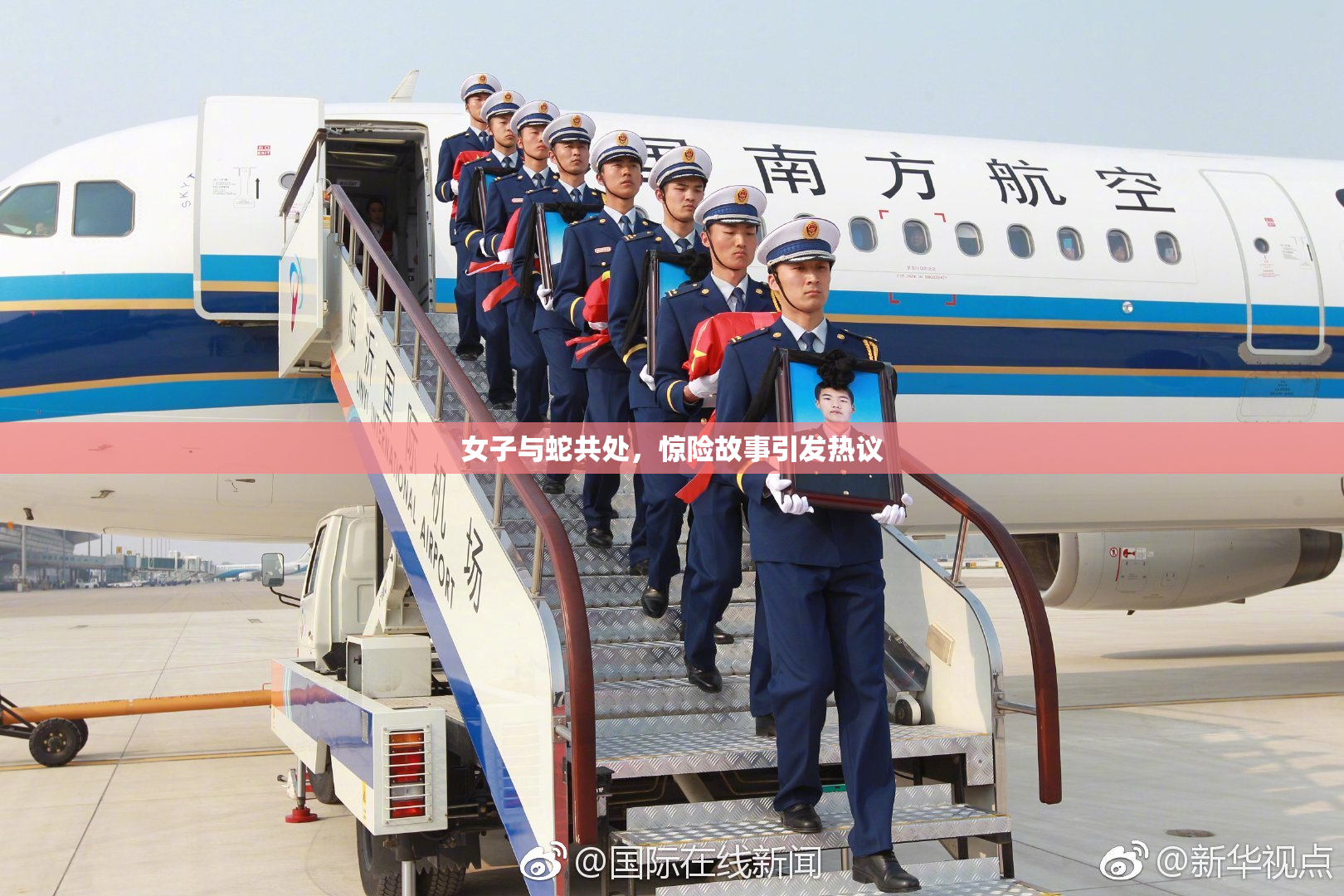 女子与蛇共处，惊险故事引发热议