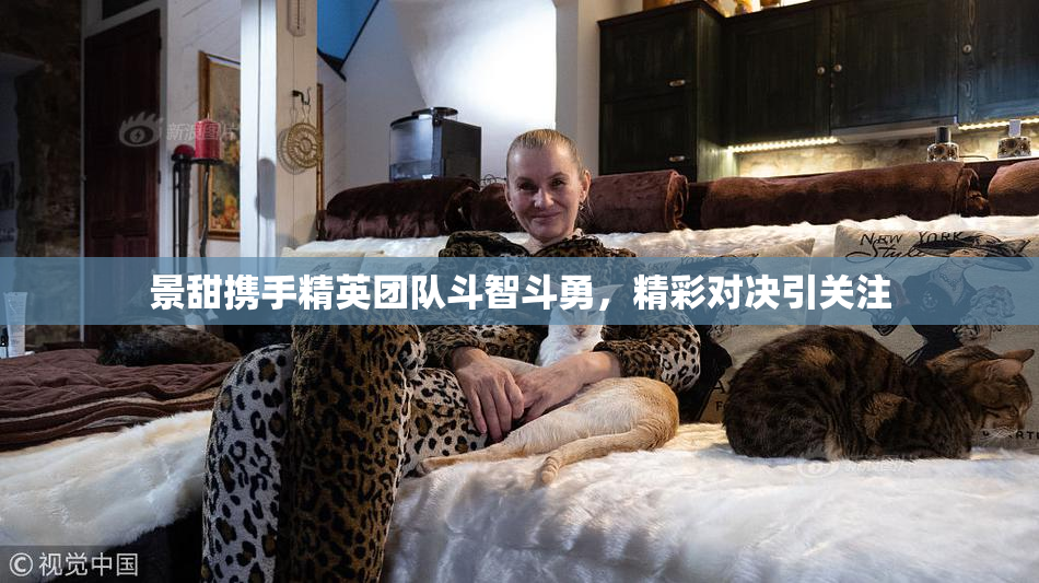 景甜携手精英团队斗智斗勇，精彩对决引关注