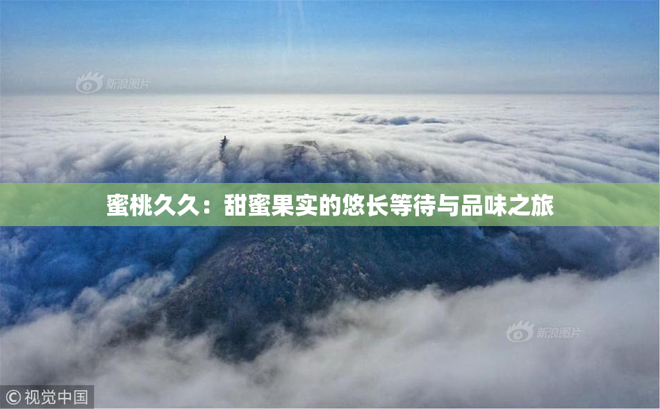 蜜桃久久：甜蜜果实的悠长等待与品味之旅