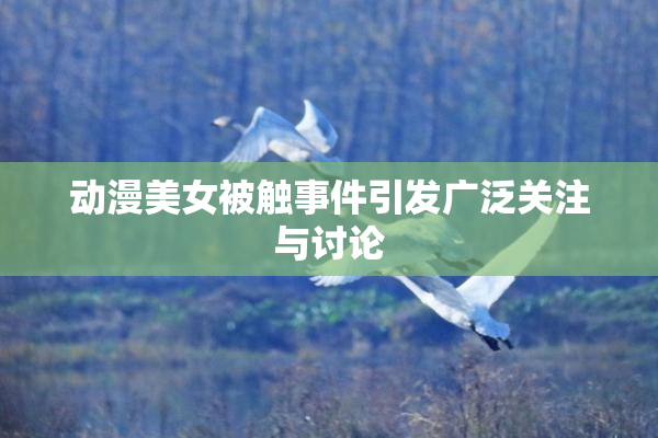 动漫美女被触事件引发广泛关注与讨论
