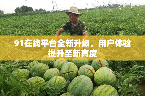 91在线平台全新升级，用户体验提升至新高度
