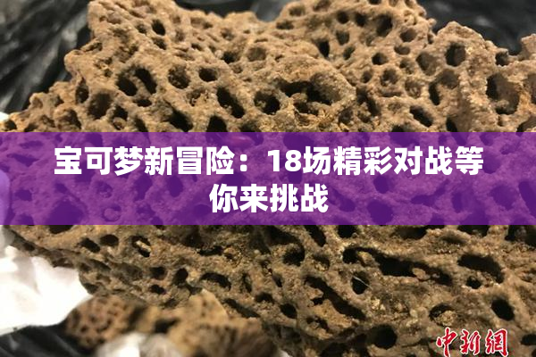 宝可梦新冒险：18场精彩对战等你来挑战