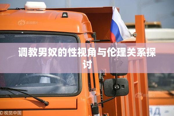 调教男奴的性视角与伦理关系探讨