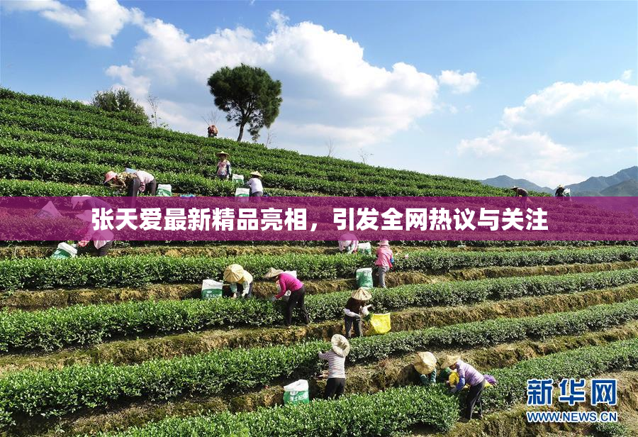 张天爱最新精品亮相，引发全网热议与关注