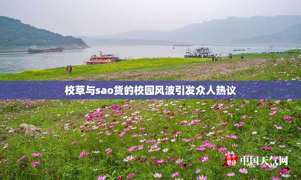 校草与sao货的校园风波引发众人热议