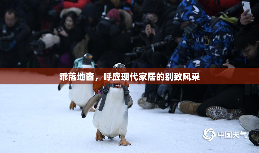 乖落地窗，呼应现代家居的别致风采