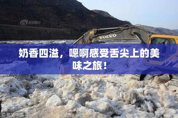奶香四溢，嗯啊感受舌尖上的美味之旅！
