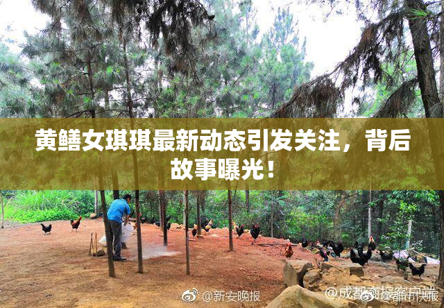 黄鳝女琪琪最新动态引发关注，背后故事曝光！
