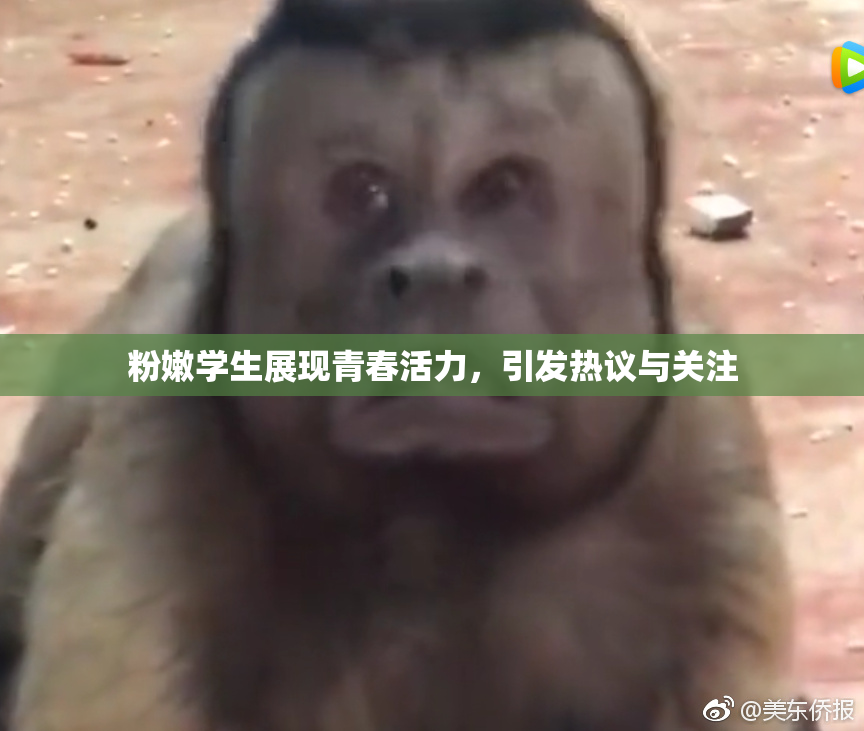 粉嫩学生展现青春活力，引发热议与关注