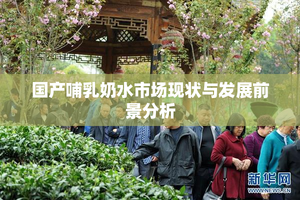 国产哺乳奶水市场现状与发展前景分析