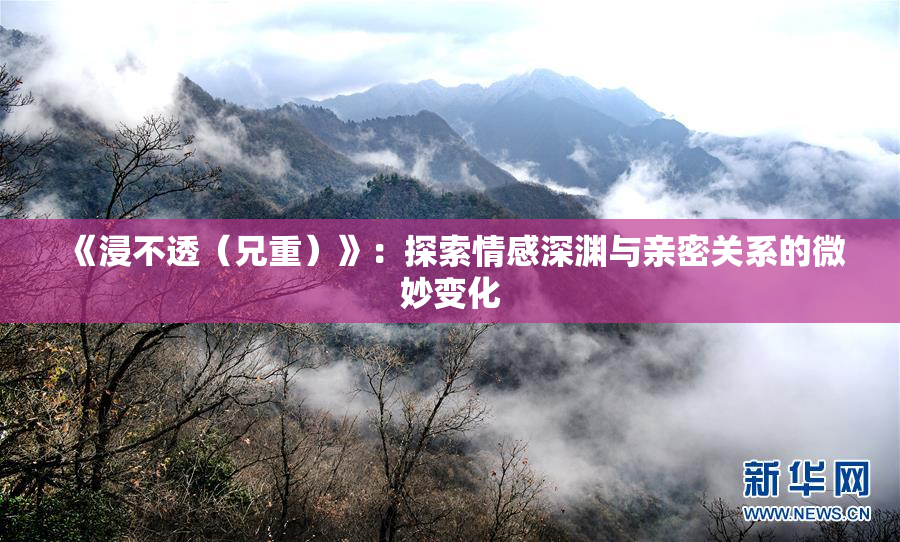 《浸不透（兄重）》：探索情感深渊与亲密关系的微妙变化