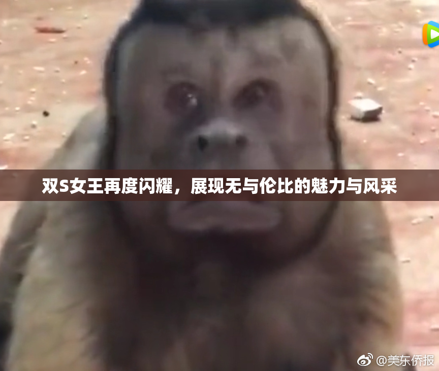 双S女王再度闪耀，展现无与伦比的魅力与风采