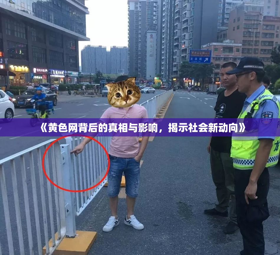 《黄色网背后的真相与影响，揭示社会新动向》