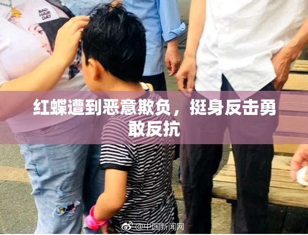 红蝶遭到恶意欺负，挺身反击勇敢反抗