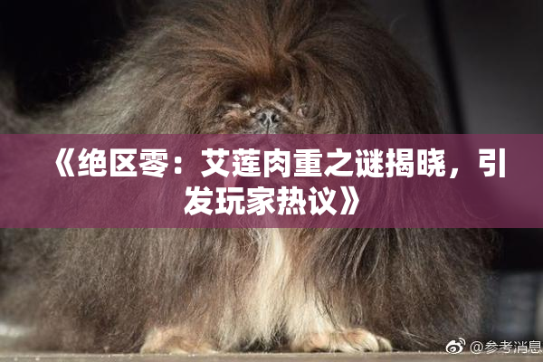 《绝区零：艾莲肉重之谜揭晓，引发玩家热议》