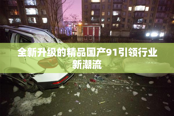 全新升级的精品国产91引领行业新潮流