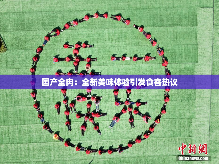 国产全肉：全新美味体验引发食客热议
