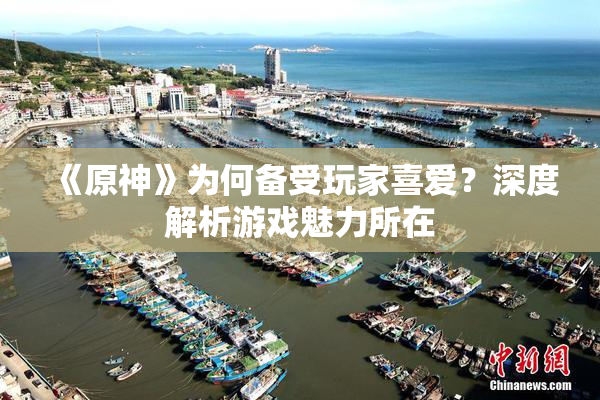 《原神》为何备受玩家喜爱？深度解析游戏魅力所在