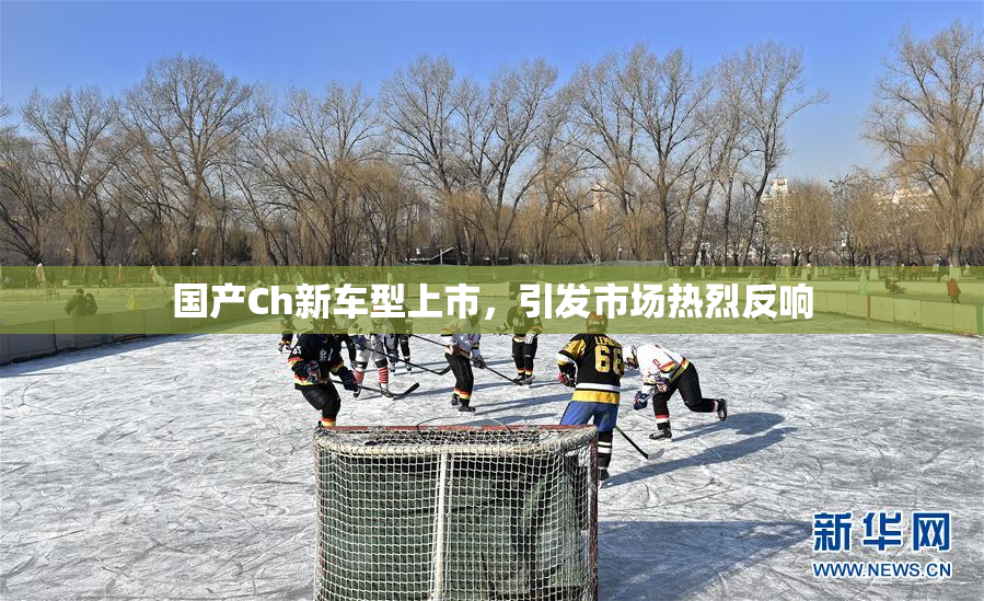 国产Ch新车型上市，引发市场热烈反响