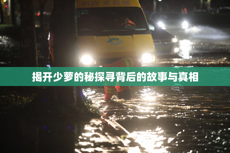 揭开少萝的秘探寻背后的故事与真相