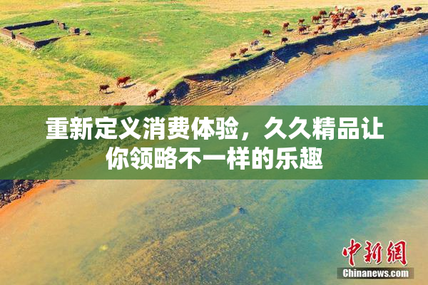 重新定义消费体验，久久精品让你领略不一样的乐趣