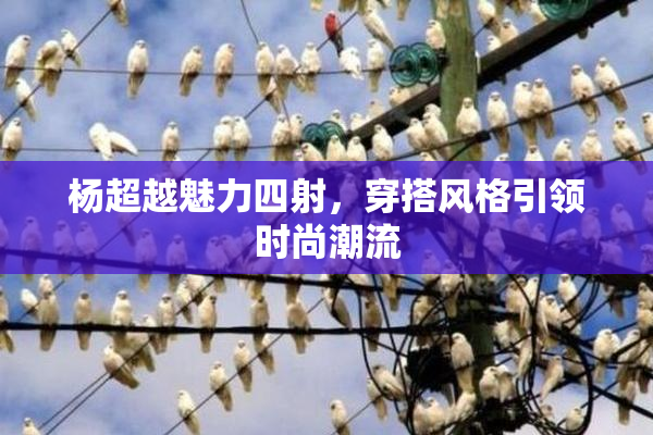 杨超越魅力四射，穿搭风格引领时尚潮流