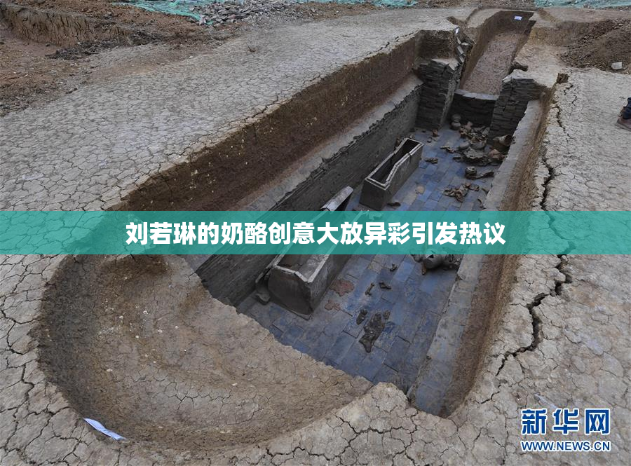 刘若琳的奶酪创意大放异彩引发热议