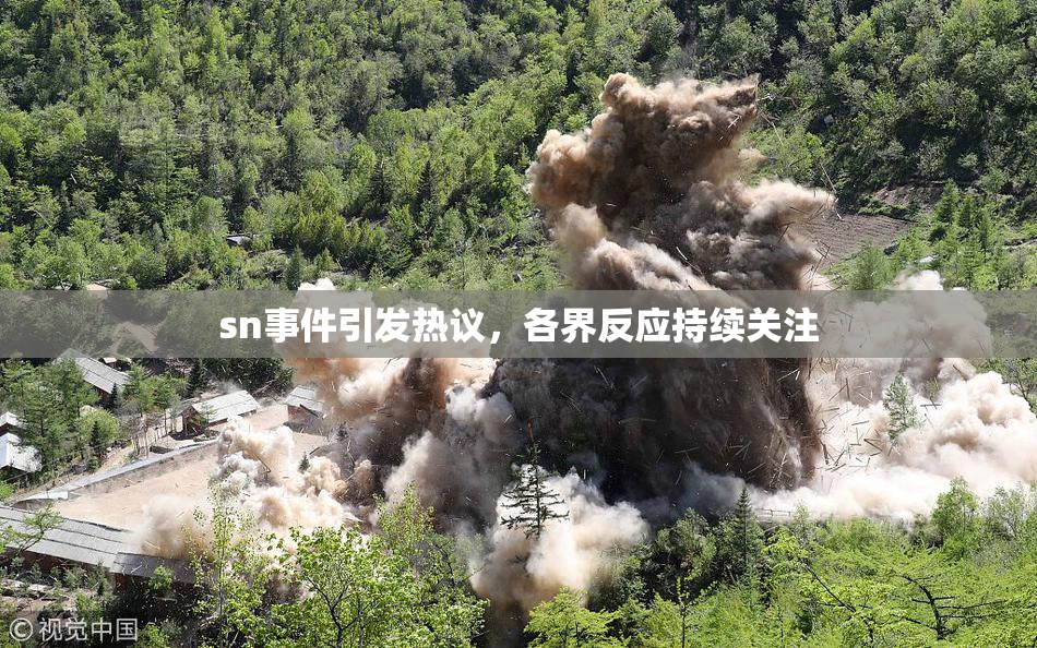 sn事件引发热议，各界反应持续关注