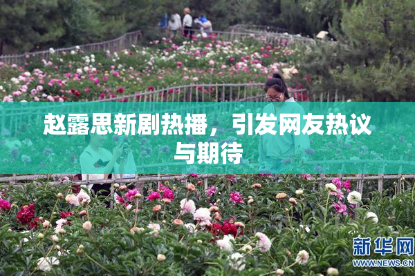 赵露思新剧热播，引发网友热议与期待
