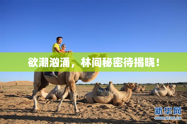欲潮汹涌，林间秘密待揭晓！