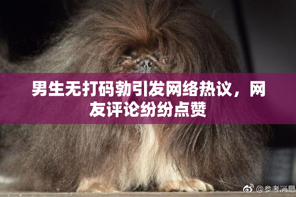男生无打码勃引发网络热议，网友评论纷纷点赞