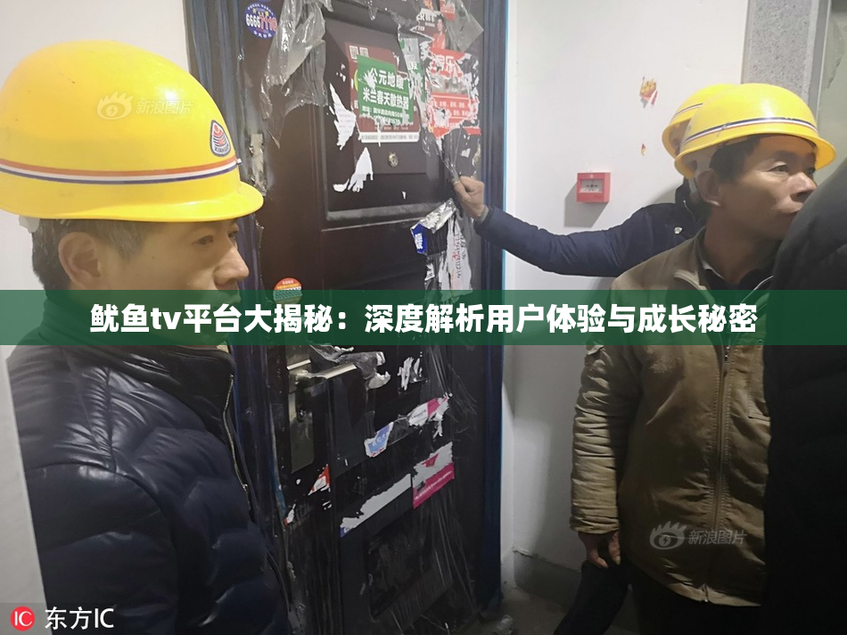 鱿鱼tv平台大揭秘：深度解析用户体验与成长秘密