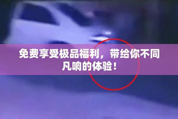 免费享受极品福利，带给你不同凡响的体验！