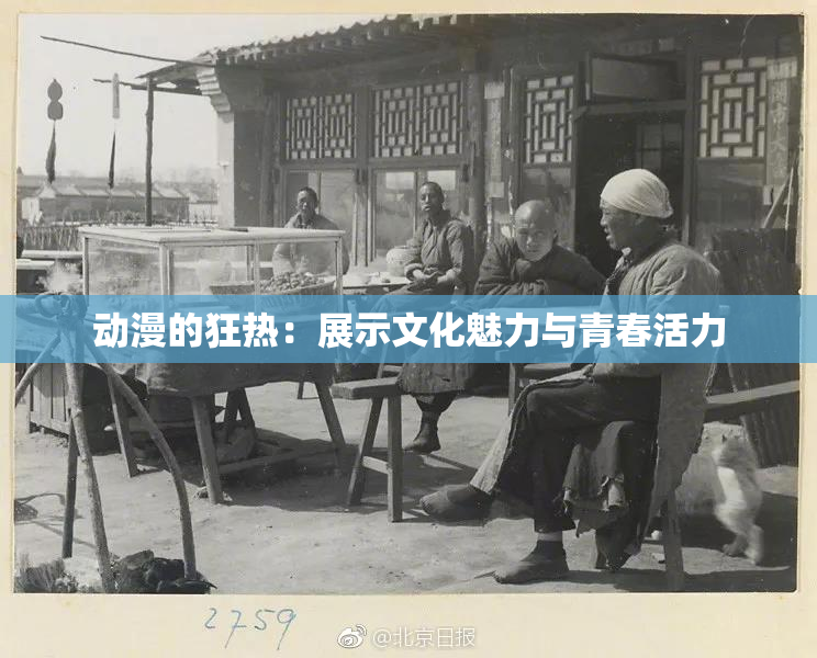动漫的狂热：展示文化魅力与青春活力
