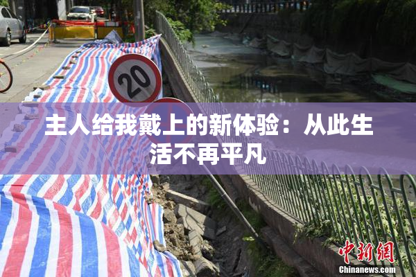 主人给我戴上的新体验：从此生活不再平凡