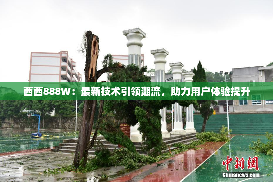 西西888W：最新技术引领潮流，助力用户体验提升
