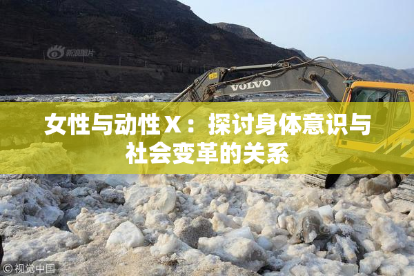 女性与动性Ⅹ：探讨身体意识与社会变革的关系