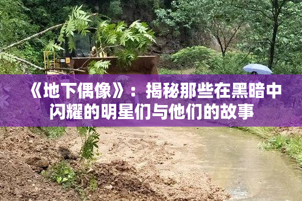 《地下偶像》：揭秘那些在黑暗中闪耀的明星们与他们的故事