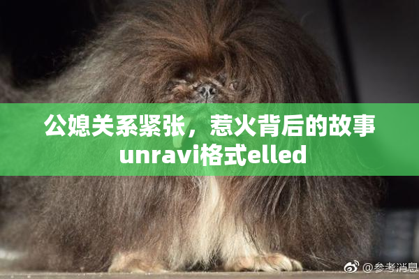 公媳关系紧张，惹火背后的故事 unravi格式elled