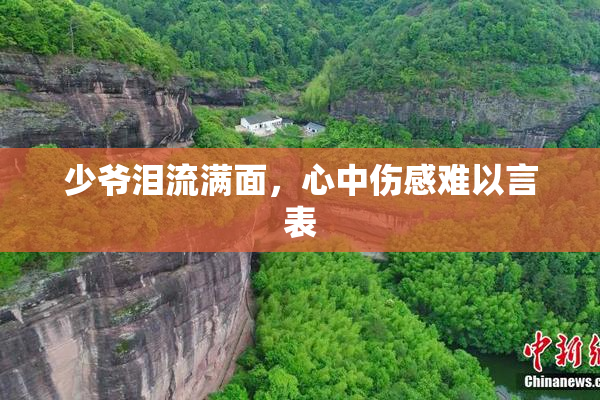 少爷泪流满面，心中伤感难以言表