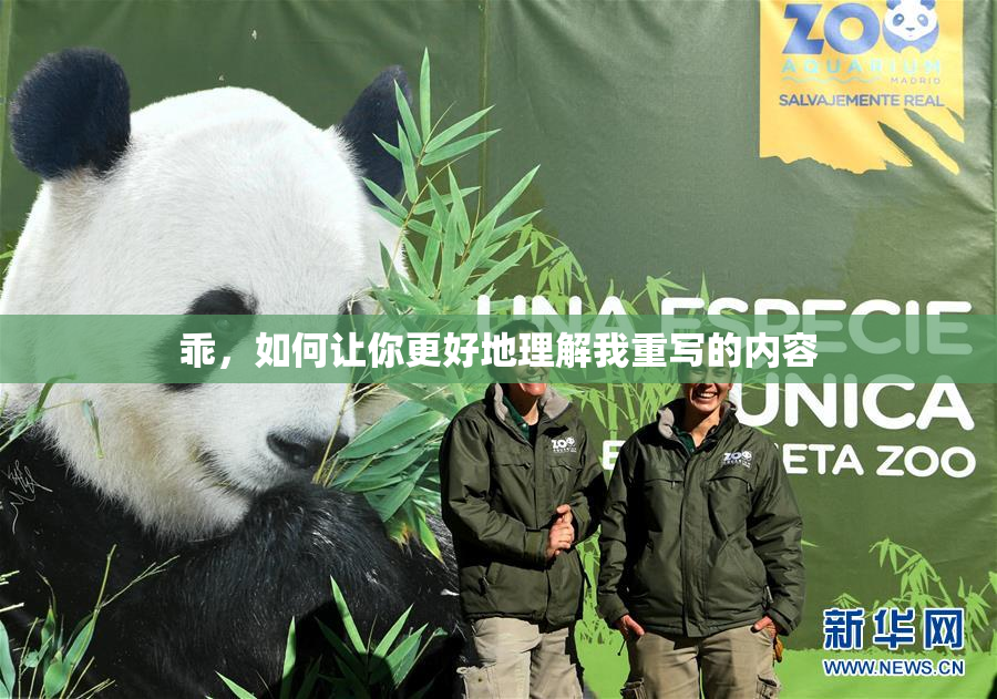 乖，如何让你更好地理解我重写的内容