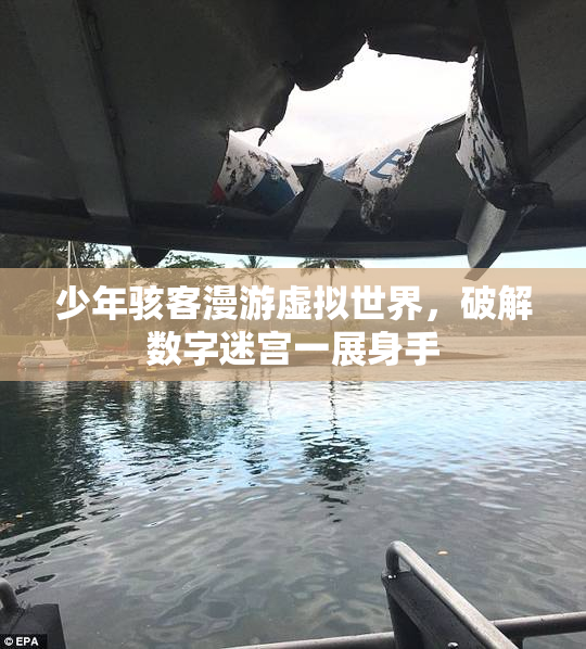 少年骇客漫游虚拟世界，破解数字迷宫一展身手