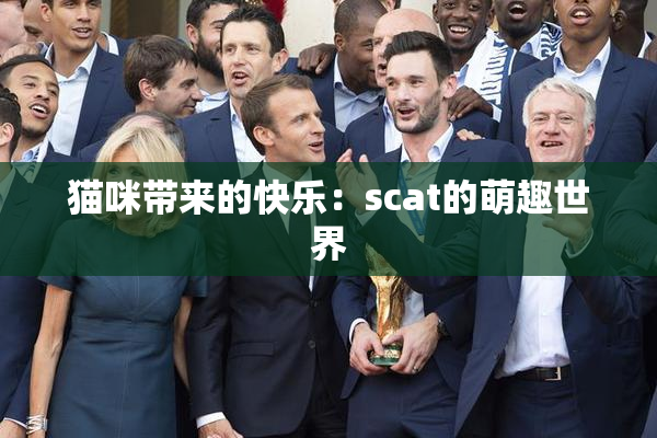 猫咪带来的快乐：scat的萌趣世界