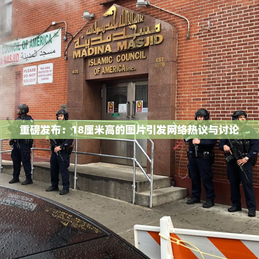 重磅发布：18厘米高的图片引发网络热议与讨论