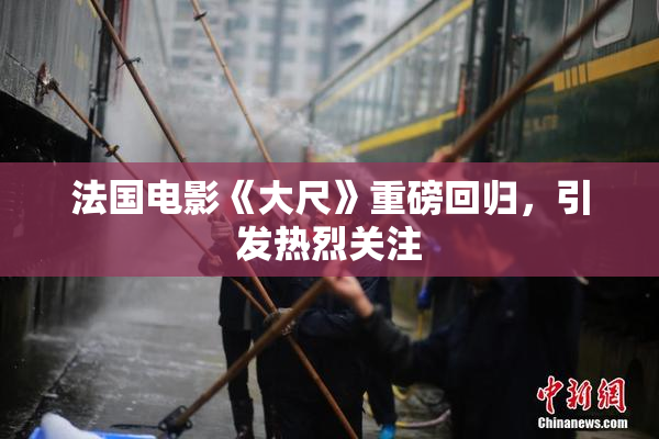 法国电影《大尺》重磅回归，引发热烈关注