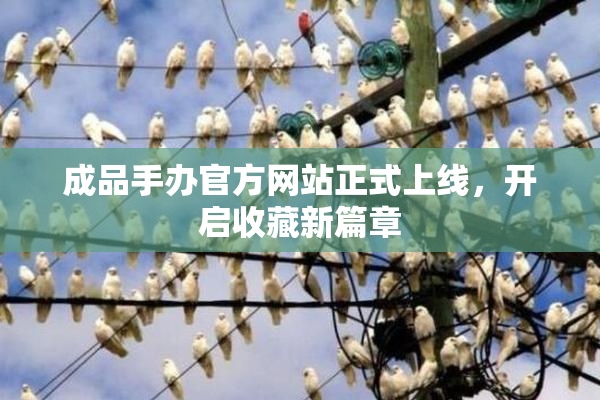 成品手办官方网站正式上线，开启收藏新篇章