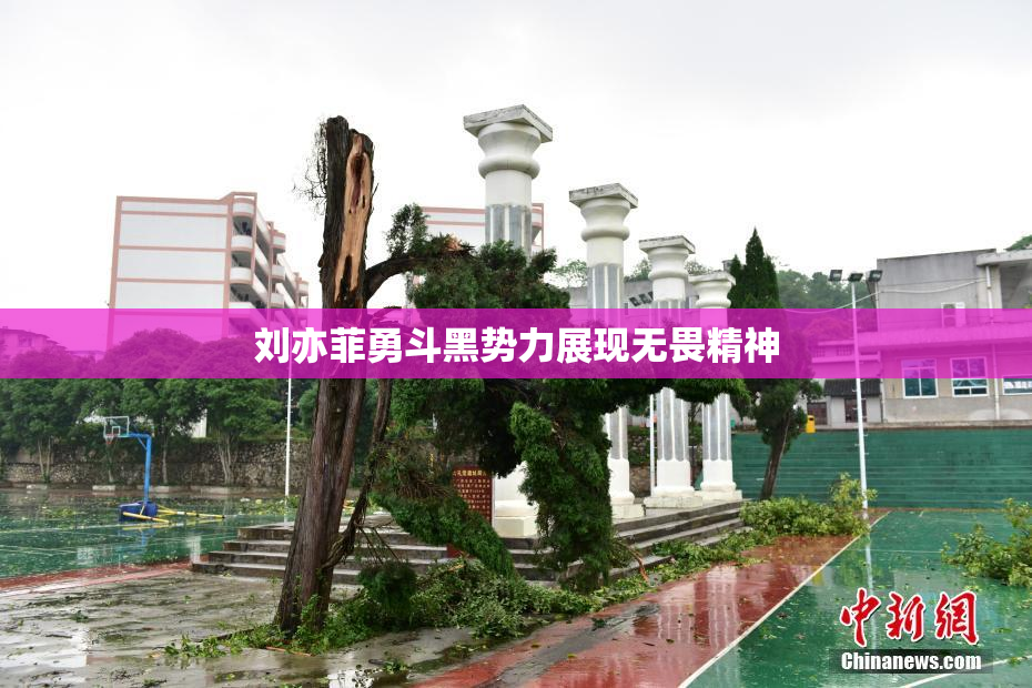 刘亦菲勇斗黑势力展现无畏精神