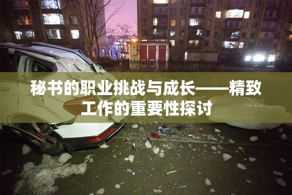 秘书的职业挑战与成长——精致工作的重要性探讨