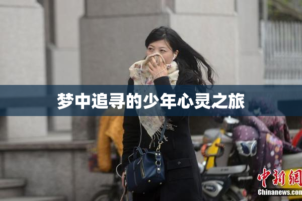梦中追寻的少年心灵之旅