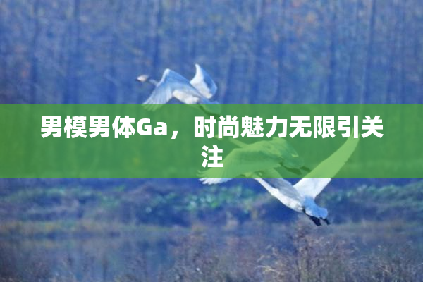男模男体Ga，时尚魅力无限引关注